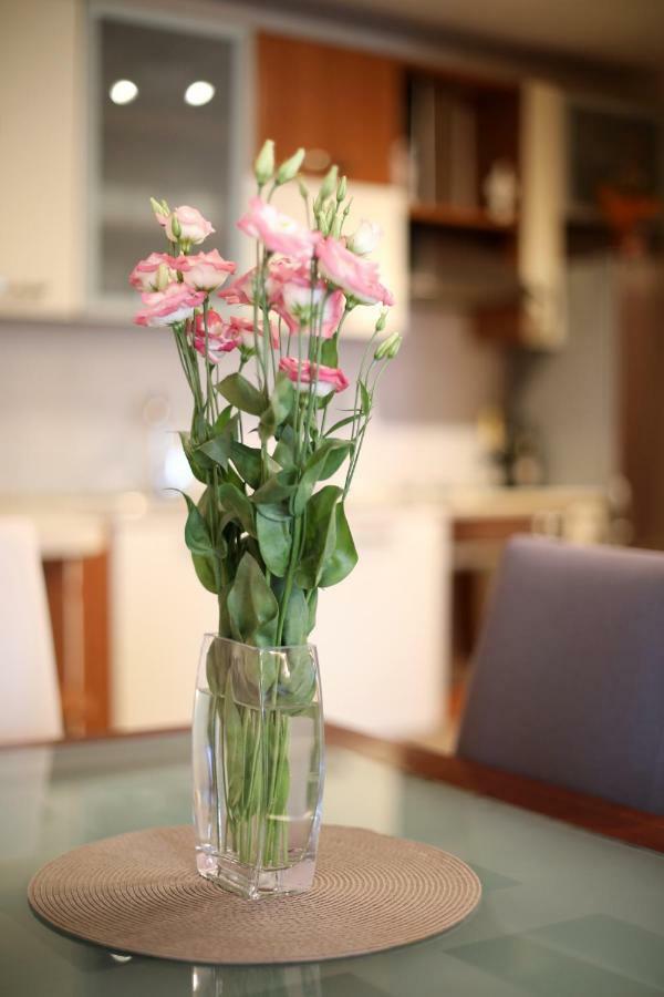 Apartment Toni Zadar Zewnętrze zdjęcie